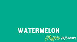 Watermelon  