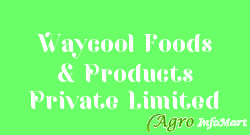 Waycool Foods & Products Private Limited