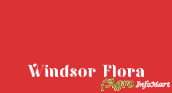 Windsor Flora