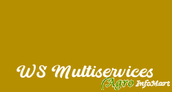 WS Multiservices