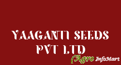 YAAGANTI SEEDS PVT LTD hyderabad india
