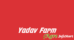 Yadav Farm nashik india