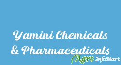 Yamini Chemicals & Pharmaceuticals hyderabad india
