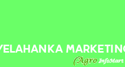 Yelahanka Marketing bangalore india