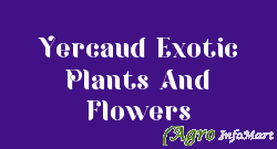 Yercaud Exotic Plants And Flowers  
