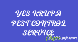 YES KRUPA PEST CONTROL SERVICE