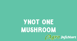 Ynot One Mushroom
