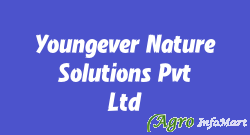 Youngever Nature Solutions Pvt. Ltd hyderabad india