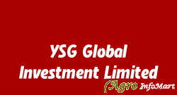 YSG Global Investment Limited