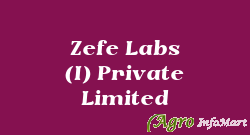 Zefe Labs (I) Private Limited