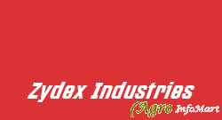 Zydex Industries delhi india