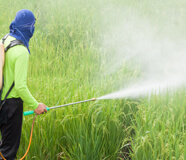 pesticide