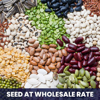 Wholesale seeds Suppliers