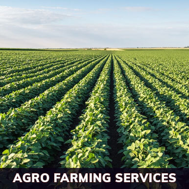 Wholesale agro farming services Suppliers