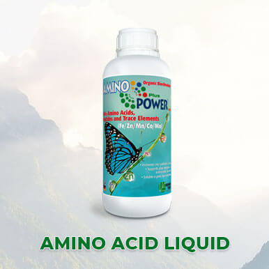 amino acid liquid Manufacturers