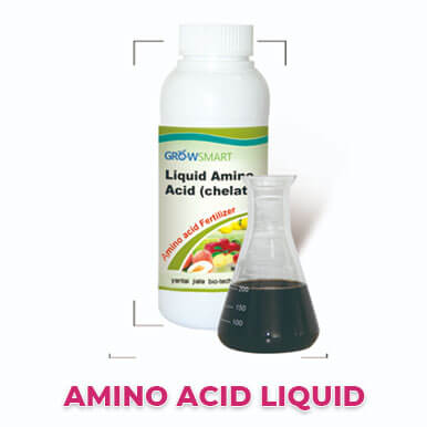 Wholesale amino acid liquid Suppliers