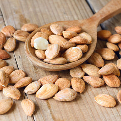 apricot seeds Manufacturers