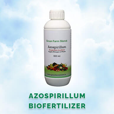 Wholesale azospirillum biofertilizer Suppliers