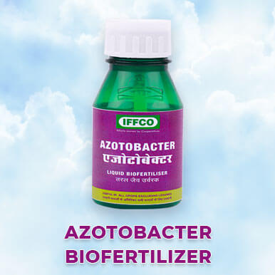 azotobacter biofertilizer Manufacturers