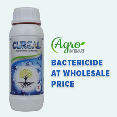 Wholesale bactericide Suppliers