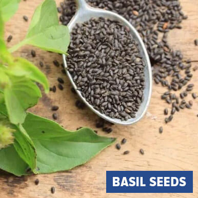 Wholesale basil seeds Suppliers