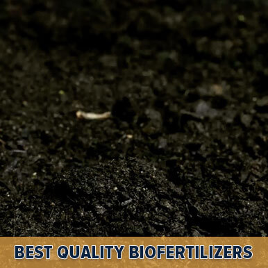 Wholesale biofertilizers Suppliers
