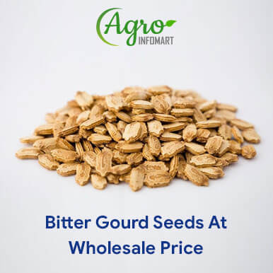 Wholesale bitter gourd seeds Suppliers