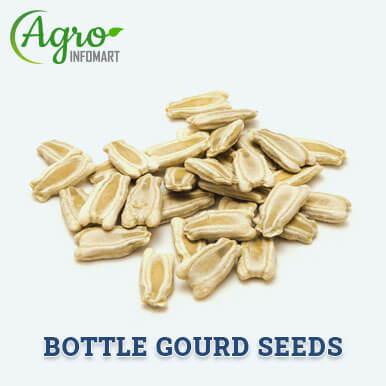 bottle gourd seeds Manufacturers