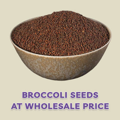 Wholesale broccoli seeds Suppliers