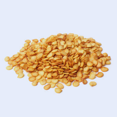 Wholesale capsicum seeds Suppliers