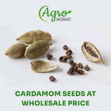 cardamom seeds Manufacturers