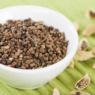 Wholesale cardamom seeds Suppliers