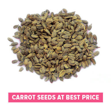 Wholesale carrot seeds Suppliers