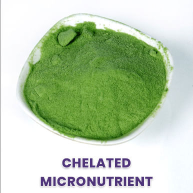 chelated micronutrient Manufacturers