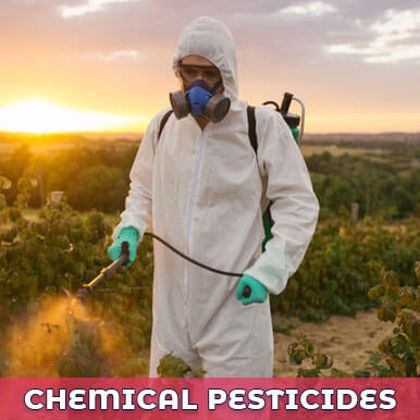 Wholesale chemical pesticides Suppliers
