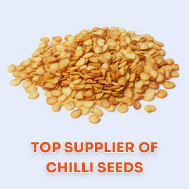 chilli seeds Manufacturers