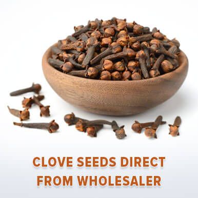 clove seeds Manufacturers