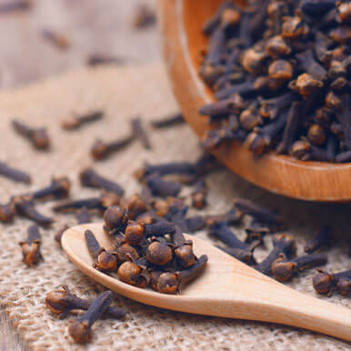 Wholesale clove seeds Suppliers