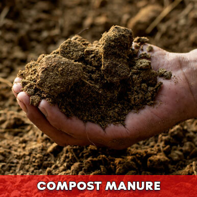 compost manure Manufacturers