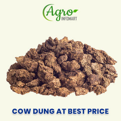 cow dung Manufacturers