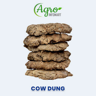Wholesale cow dung Suppliers
