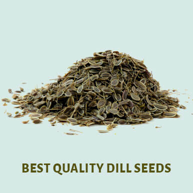 dill seeds Manufacturers
