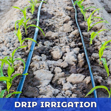 Wholesale drip irrigation Suppliers