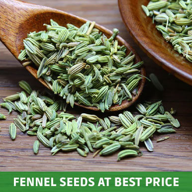 Wholesale fennel seeds Suppliers