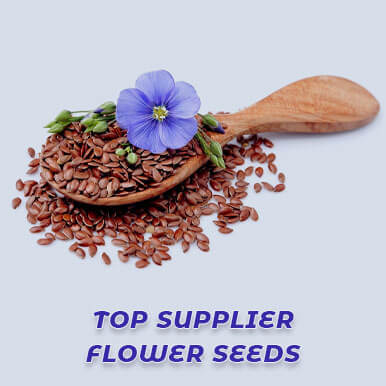 Wholesale flower seeds Suppliers