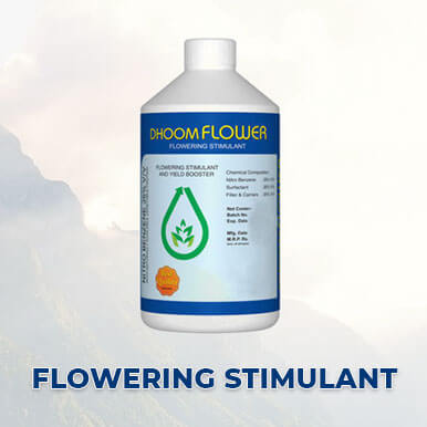 flowering stimulant Manufacturers