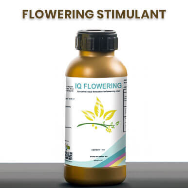 Wholesale flowering stimulant Suppliers