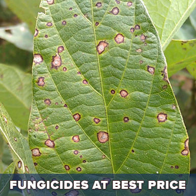 Wholesale fungicides Suppliers