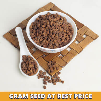 Wholesale gram seed Suppliers