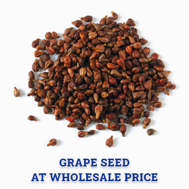 grape seed Manufacturers